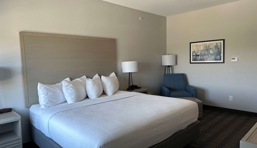 Chambre Standard, 1 très grand lit, non-fumeurs, réfrigérateur et four à micro-ondes