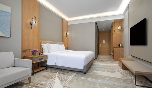 Chambre Standard, 1 très grand lit, accessible aux personnes à mobilité réduite