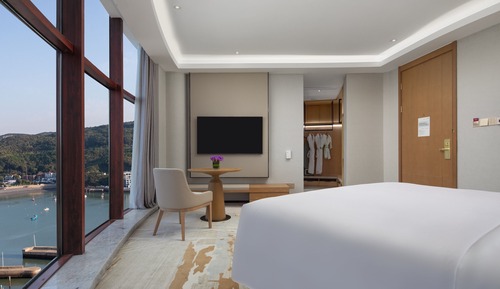 Chambre Standard, 1 très grand lit