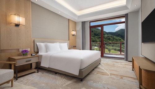 Suite, 1 chambre, vue montagne