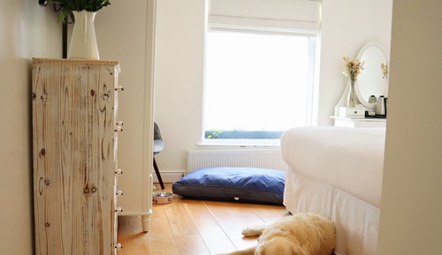 Chambre Double ou avec lits jumeaux, salle de bains attenante (Pet Friendly Double/Twin)