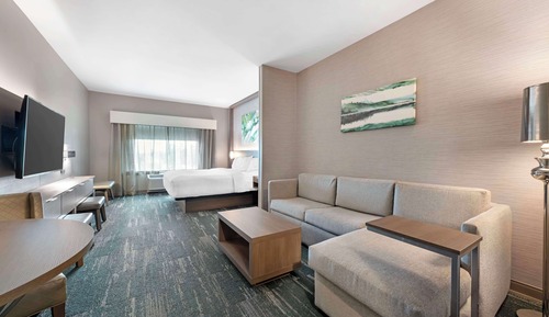 Suite, 1 très grand lit, accessible aux personnes à mobilité réduite, baignoire (with Sofabed)