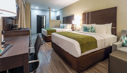 Chambre Standard, 2 grands lits, non-fumeurs