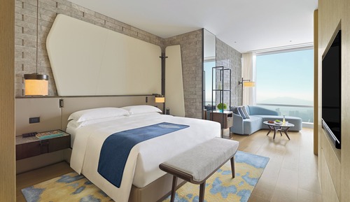 Chambre « Premier »