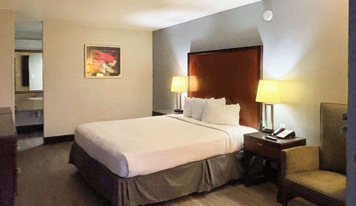 Chambre Deluxe, 1 très grand lit, non-fumeurs, réfrigérateur et four à micro-ondes