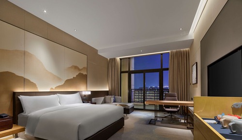 Chambre Exécutive, 1 très grand lit