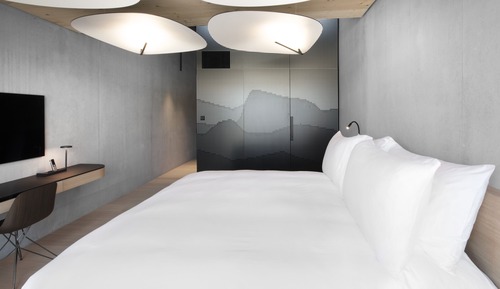 Chambre Supérieure Double ou avec lits jumeaux