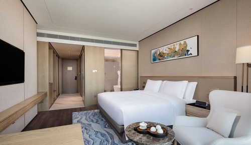 Chambre Exécutive, 1 très grand lit, non-fumeurs