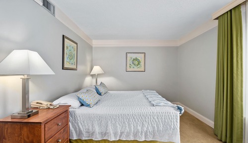 Chambre, 1 très grand lit et 1 canapé-lit (TBMSBV)