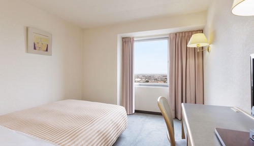 Chambre Simple Standard, 1 grand lit 1 place, fumeurs (Semi Double)