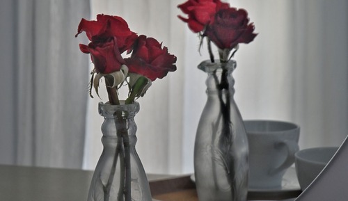 Appartement (6)