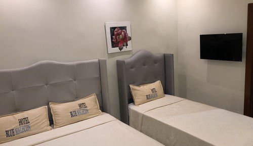 Chambre Standard Double ou avec lits jumeaux