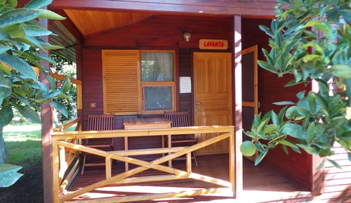 Tree House (Bungalov)