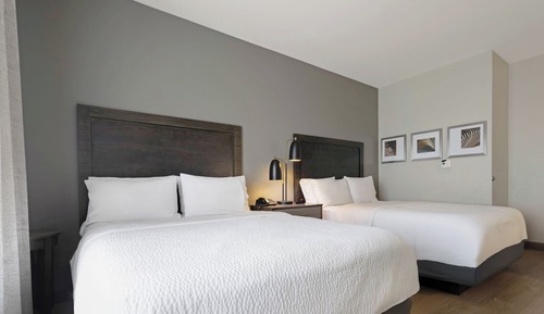 Chambre Standard, 2 grands lits