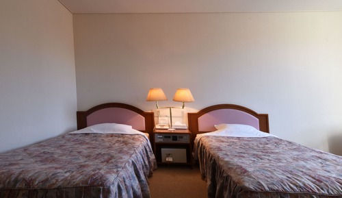 Chambre avec lits jumeaux, non-fumeurs