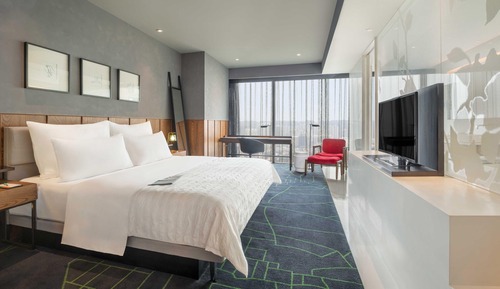 Chambre Deluxe, 1 très grand lit, vue ville