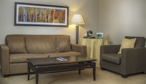 Suite Exécutive, 1 très grand lit et 1 canapé-lit (two-room)