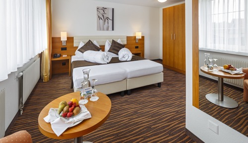Chambre Double, vue parc