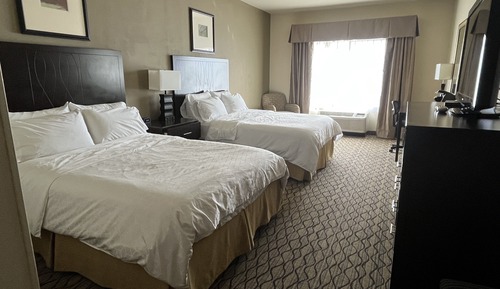 Chambre Standard, accessible aux personnes à mobilité réduite (HEARING)