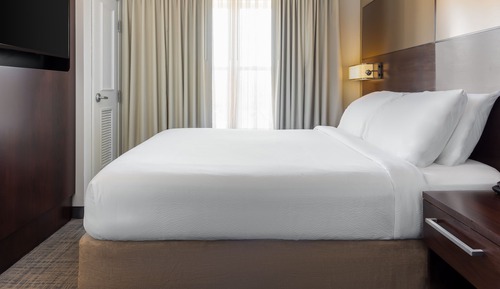 Suite, 1 très grand lit et 1 canapé-lit, non-fumeurs (Mobility/Hearing Accessible, Tub)