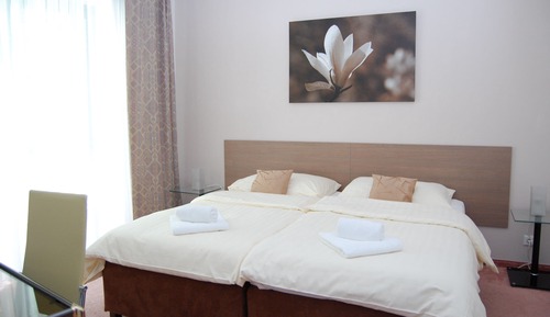 Chambre Standard Double ou avec lits jumeaux, 2 lits une place