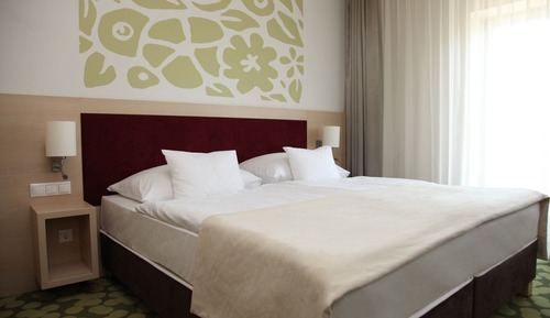 Chambre Double ou avec lits jumeaux