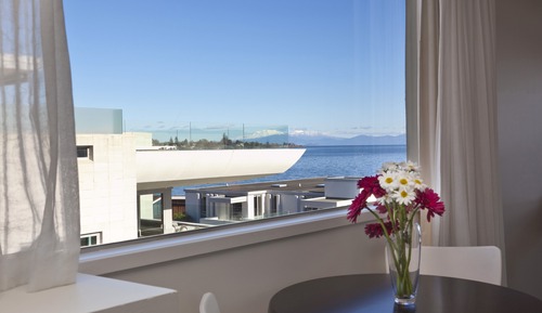 Studio, 1 grand lit, vue lac