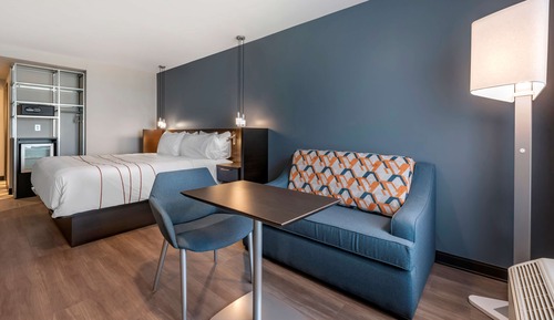 Chambre Standard, 1 très grand lit, non-fumeurs, réfrigérateur (Larger Room;with Sofabed)