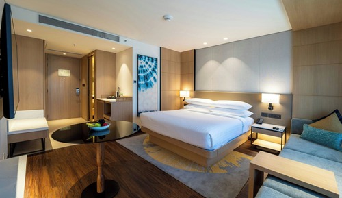Chambre Deluxe, 1 très grand lit, vue ville