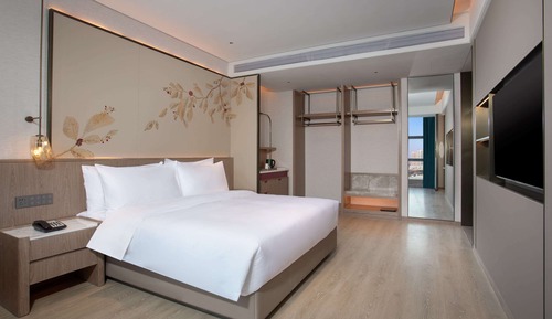 Chambre Exécutive, 1 très grand lit, non-fumeurs