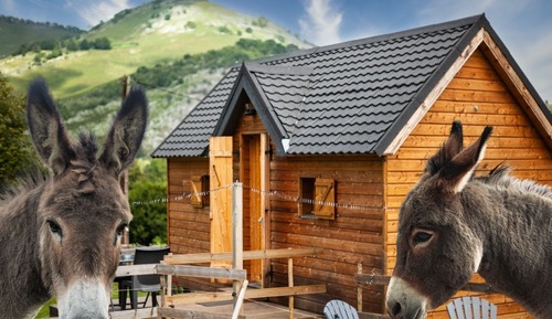 Cabane, salle de bains attenante, vue montagne