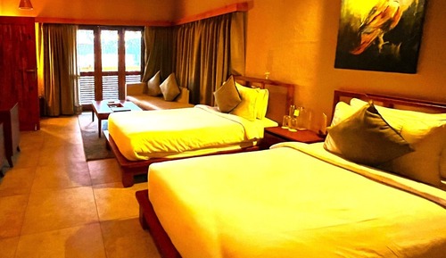 Chambre Deluxe Double ou avec lits jumeaux