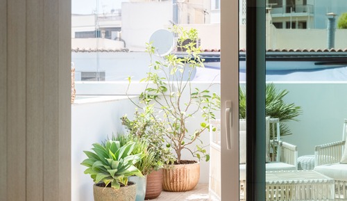Suite, terrasse (C Privada)