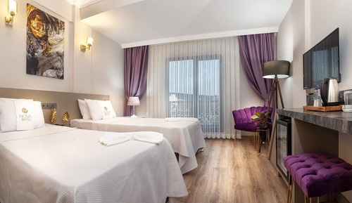 Chambre Deluxe avec lits jumeaux