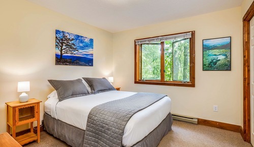 Cabane Premium, 1 très grand lit et 1 canapé-lit, baignoire à jets, vue montagne