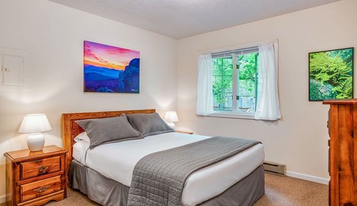 Cabane Premium, 1 très grand lit et 1 canapé-lit, baignoire à jets