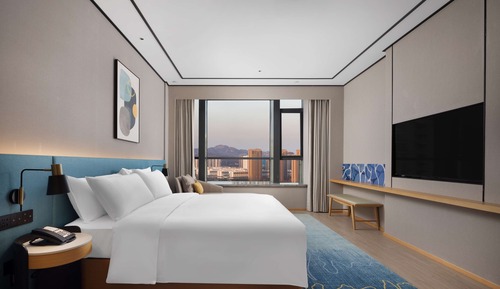 Suite Deluxe, 1 très grand lit