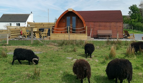 Cabane