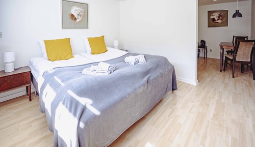 Chambre Double ou avec lits jumeaux, salle de bains privée