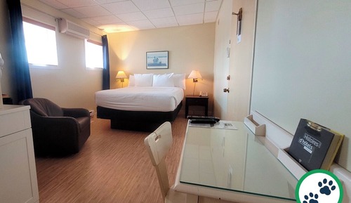 Chambre Confort, 1 grand lit