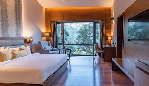 Chambre Deluxe, 1 lit double, vue lac