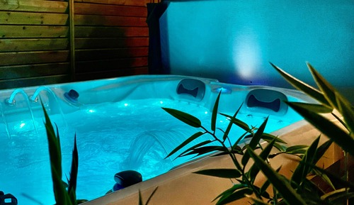 Suite Premium, 1 grand lit, bain à remous, vue jardin