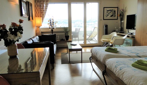 Appartement, 1 chambre, terrasse, vue montagne