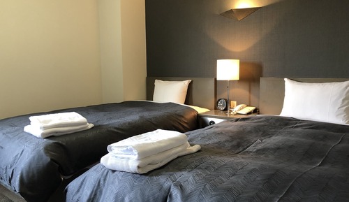 Chambre avec lits jumeaux, non-fumeurs