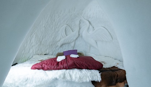 Room (Igloo)