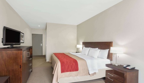 Chambre, 1 très grand lit, accessible aux personnes à mobilité réduite (Tub with Grab Bars)