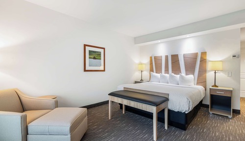 Chambre Standard, 1 très grand lit, accessible aux personnes à mobilité réduite, non-fumeurs