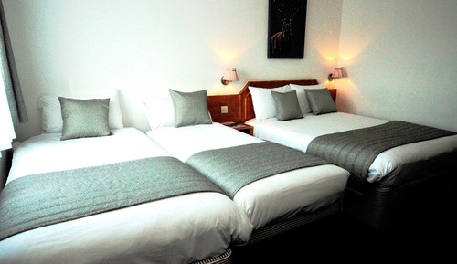 Chambre, plusieurs lits, non-fumeurs
