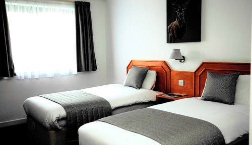 Chambre avec lits jumeaux, 2 lits une place