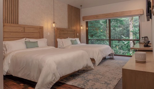 Villa Luxe, 2 chambres, bain à remous, vue montagne